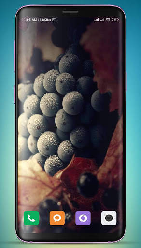 Grapes Wallpaper HD screenshot 5