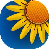 Photo Gallery - Photo Video Browser 1.0