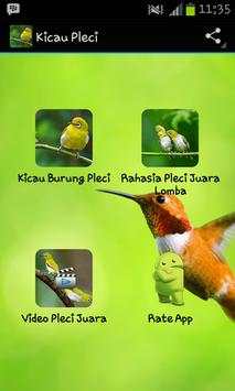 Birds Song Cicikacamata screenshot 1