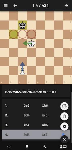 Chess Endgame Training screenshot 5