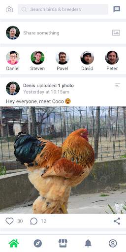 BirdsTown - Social network for bird breeders screenshot 1
