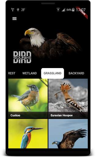Bird Sounds स्क्रीनशॉट 10