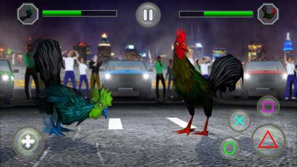 Angry Rooster Fighting Hero: Farm Chicken Battle screenshot 3