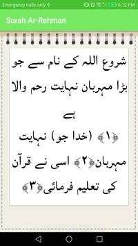 Qari Abdul Basit Surah Rehman screenshot 7