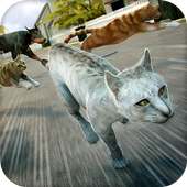 🐾 Kitten Cat Simulator Game🐾 logo
