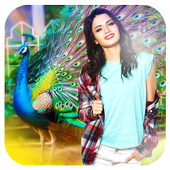 Peacock Photo Frames HQ icon