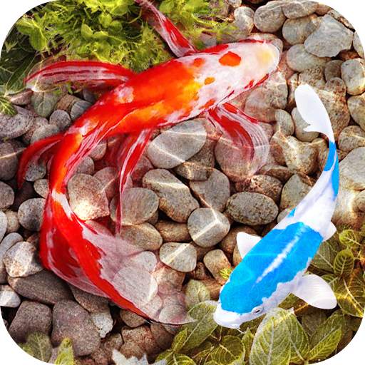 Fish Tank Live Wallpaper 5.10.4