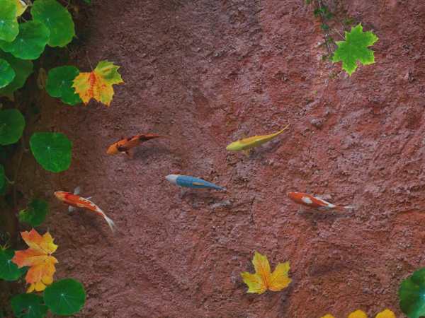 Water Koi Fish Pond LWP screenshot 13