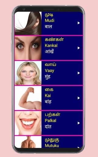 Learn Tamil From Hindi screenshot 3