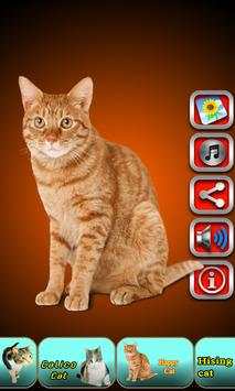 Talking Cat screenshot 5