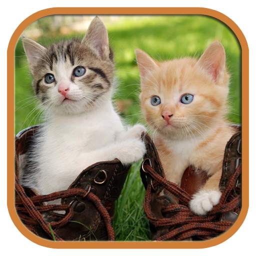 Funny Cats Tile Puzzle 1.5