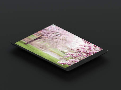 Cherry Blossom Wallpaper screenshot 16