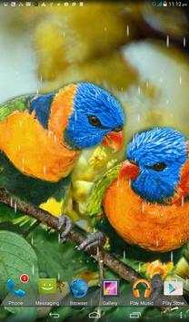 Rainy Bird Live Wallpaper screenshot 4