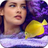 3D Underwater Frames for Pictures 3.0