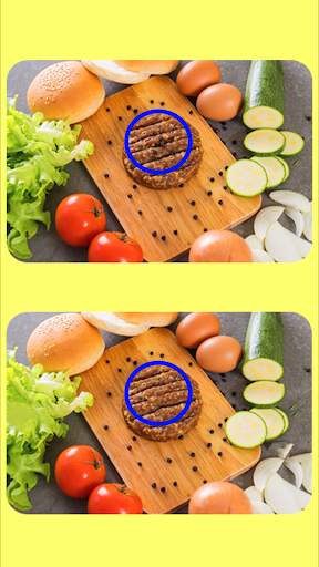 Spot The Differences Game screenshot 4