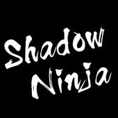 Shadow Ninja 2