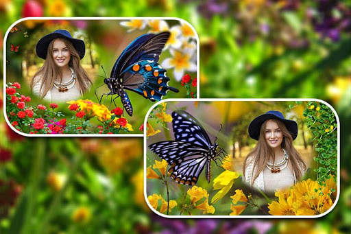 Butterfly Photo Frames 3 تصوير الشاشة