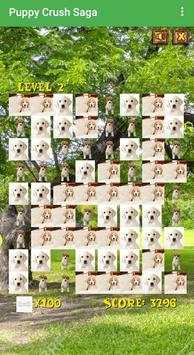 Puppy Crush Saga screenshot 4