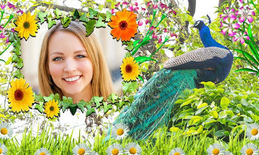 Peacock Photo Frames screenshot 6