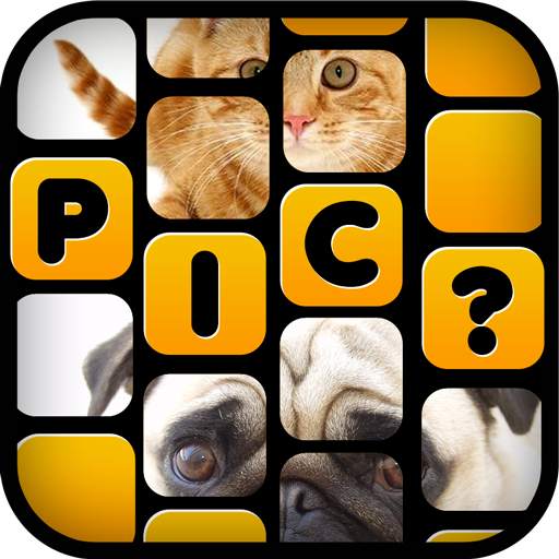What’s The Picture - Guess Pic 1.4.3