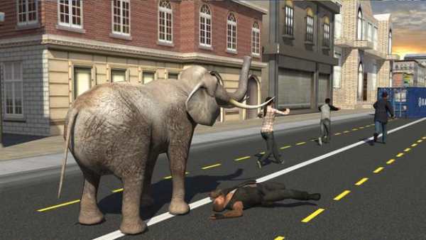 Elephant Racing Simulator 2016 screenshot 11