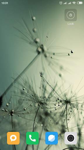 Dandelion Wallpaper HD screenshot 8