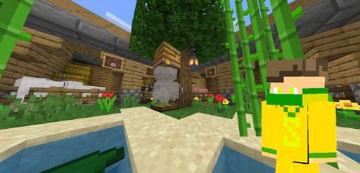 Steve World Maps for Minecraft screenshot 2