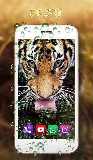 Tigers Live Wallpaper screenshot 3