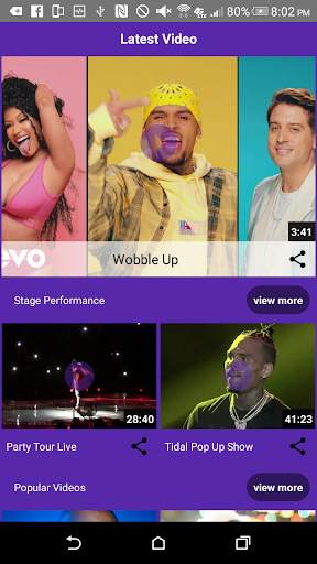 Chris Brown Music screenshot 4