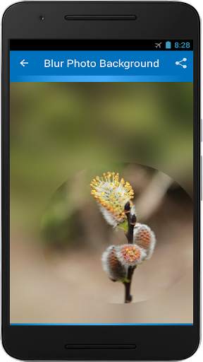 Blur Photo Background screenshot 5