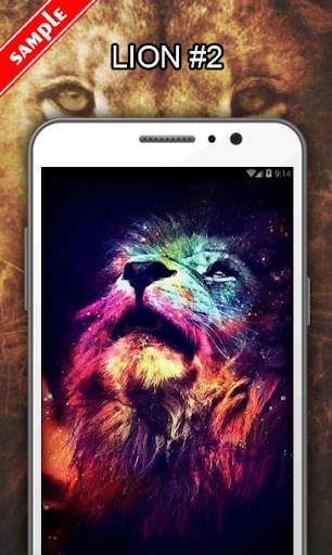 Lion Wallpapers screenshot 3