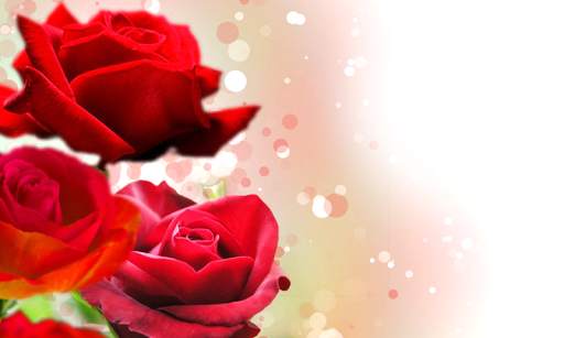 Flower Photo Frames screenshot 3