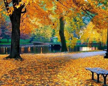 Autumn Jigsaw Puzzle Game screenshot 5
