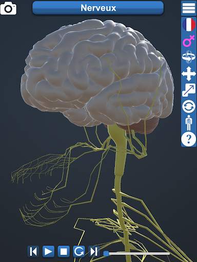 Anatomy 3D screenshot 7