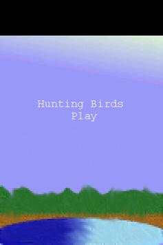 Hunting Birds screenshot 1