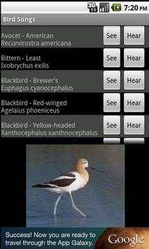 Bird Songs screenshot 1