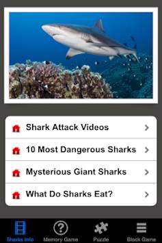 Shark Revenge Attack screenshot 1