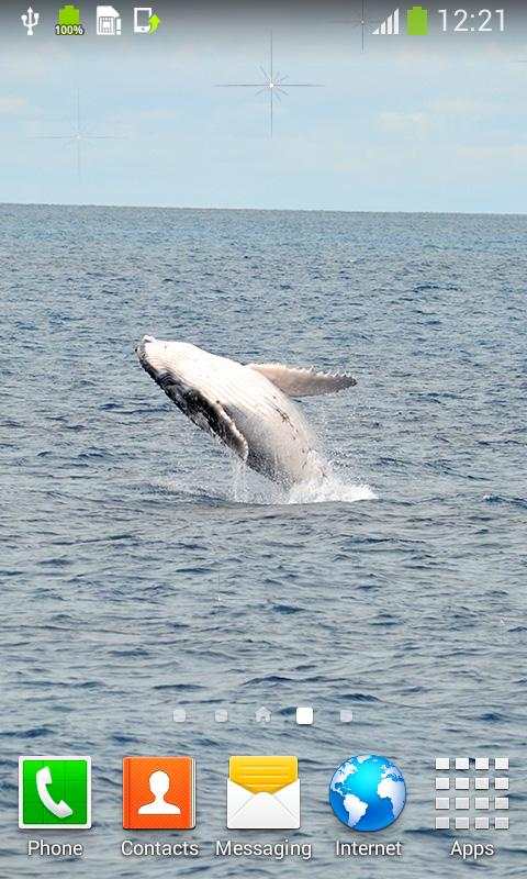 Whale Live Wallpapers  - Free Live Wallpapers screenshot 4