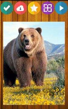 Bear Bears Puzzle screenshot 2