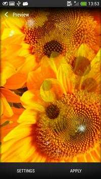 Sunflower Live Wallpaper screenshot 3