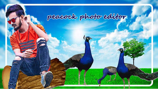Peacock Photo Editor screenshot 1