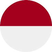 Indonesia VPN 2.2.1t
