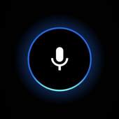 Ask for Google Assistant 2.0