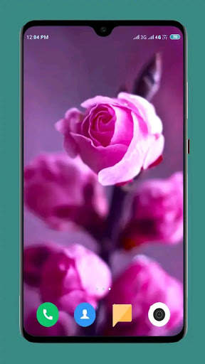 Flower Wallpaper Ultra HD 4K screenshot 10