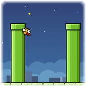 Crazy Bird icon