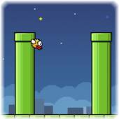 Crazy Bird 1.0