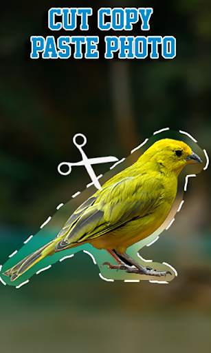Cut Copy Paste Photo screenshot 1