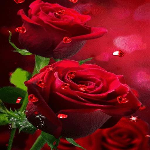Red Hearts Roses LWP 3