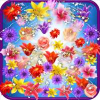 Flower Shooter