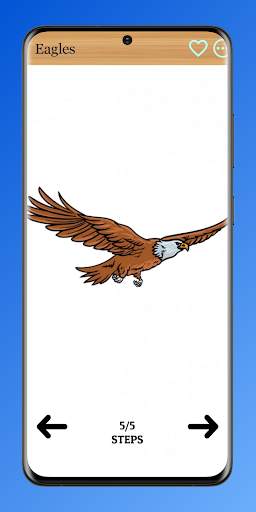 How to Draw Birds of Prey screenshot 8